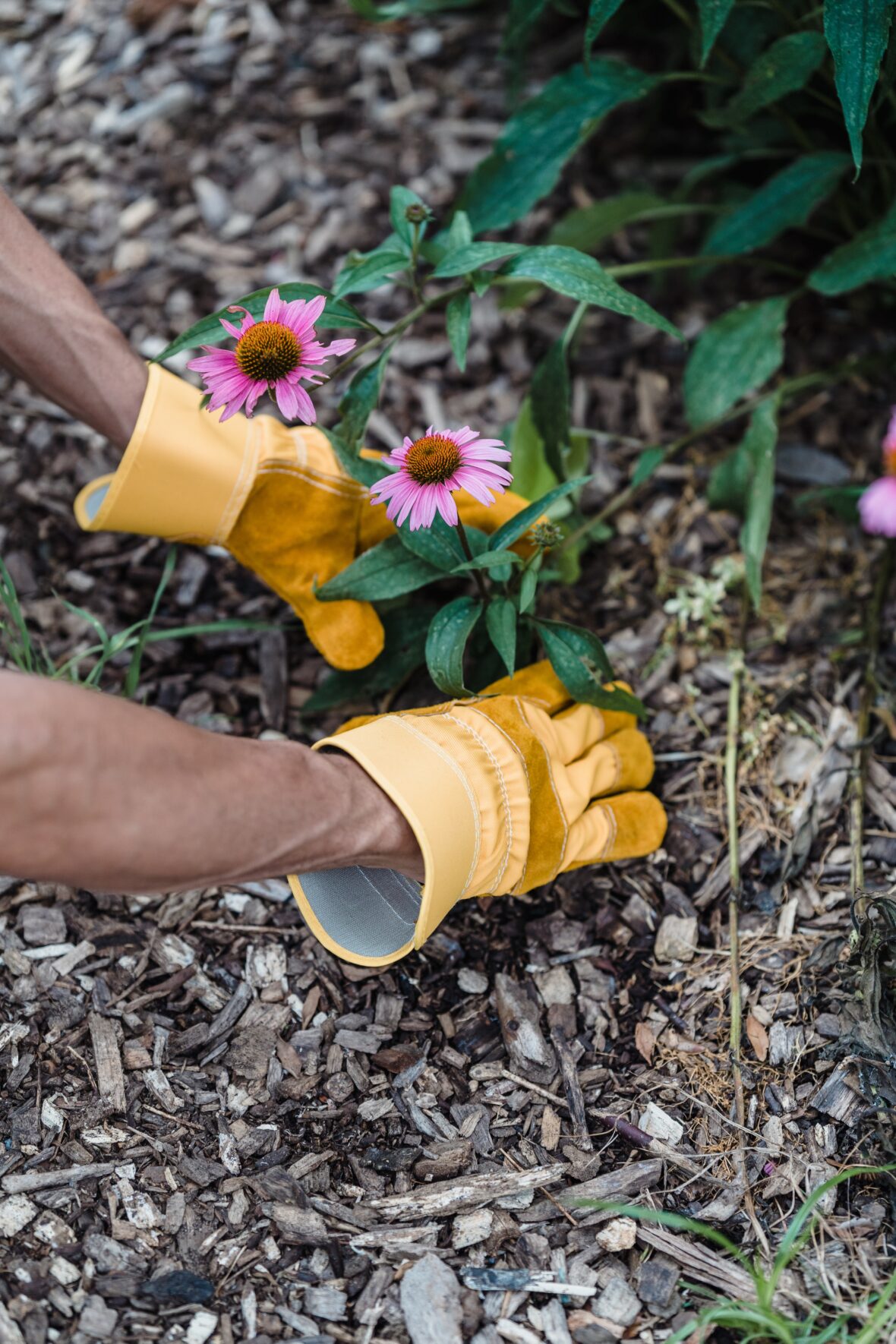 Off-the-Job Safety: Ergonomic Gardening Tips