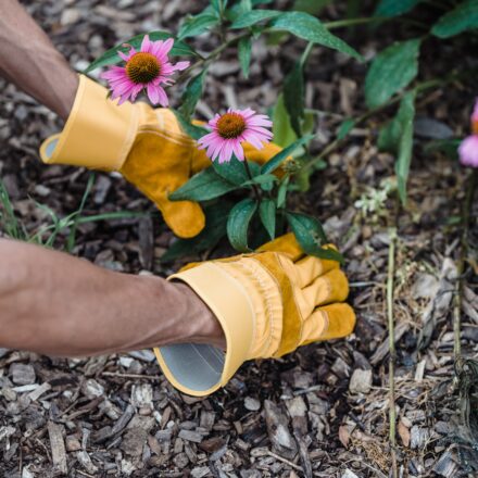 Off-the-Job Safety: Ergonomic Gardening Tips